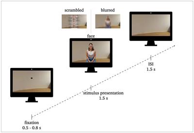 Real-life relevant face perception is not captured by the N170 but reflected in later potentials: A comparison of 2D and virtual reality stimuli